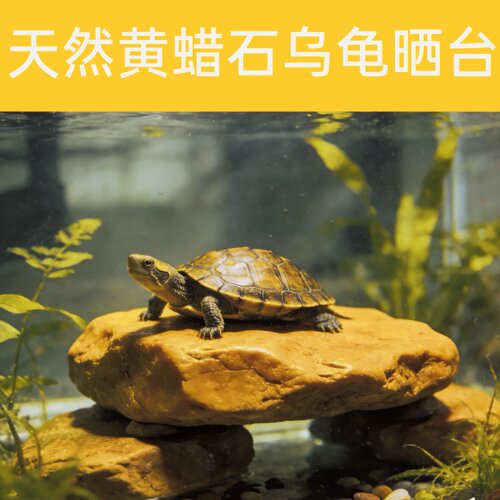 黄蜡石天然原石形龟缸发色晒台