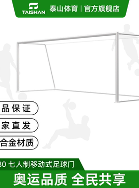 TQW0369/1TQW0372TQW2380TQW3007移动式插地式七人制足球门