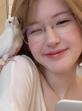 赵露思同款林德2269超轻纯钛
