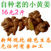 小黄姜老姜 自种新鲜现挖 云南特产月子姜土姜生姜 无农残无硫磺