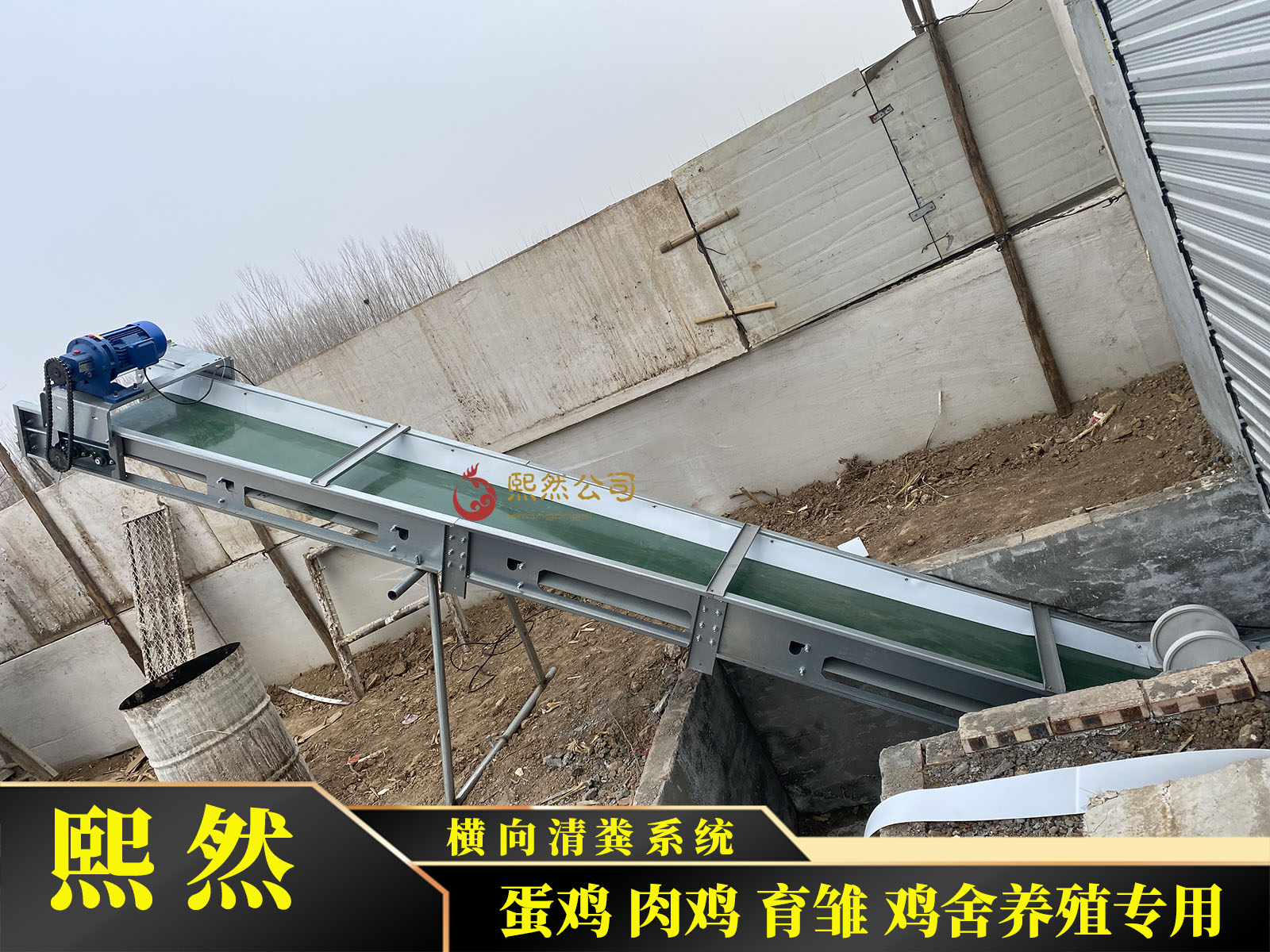 鸡舍横向传送带养殖专用全自动清粪机输送带鸡鸭鸽兔鹅斜向出粪机