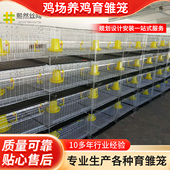 供应加粗加密小鸡笼子养殖育雏笼立体式 四层脱温鸡苗肉鸡笼厂设备