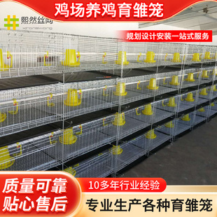 四层脱温鸡苗肉鸡笼厂设备 供应加粗加密小鸡笼子养殖育雏笼立体式