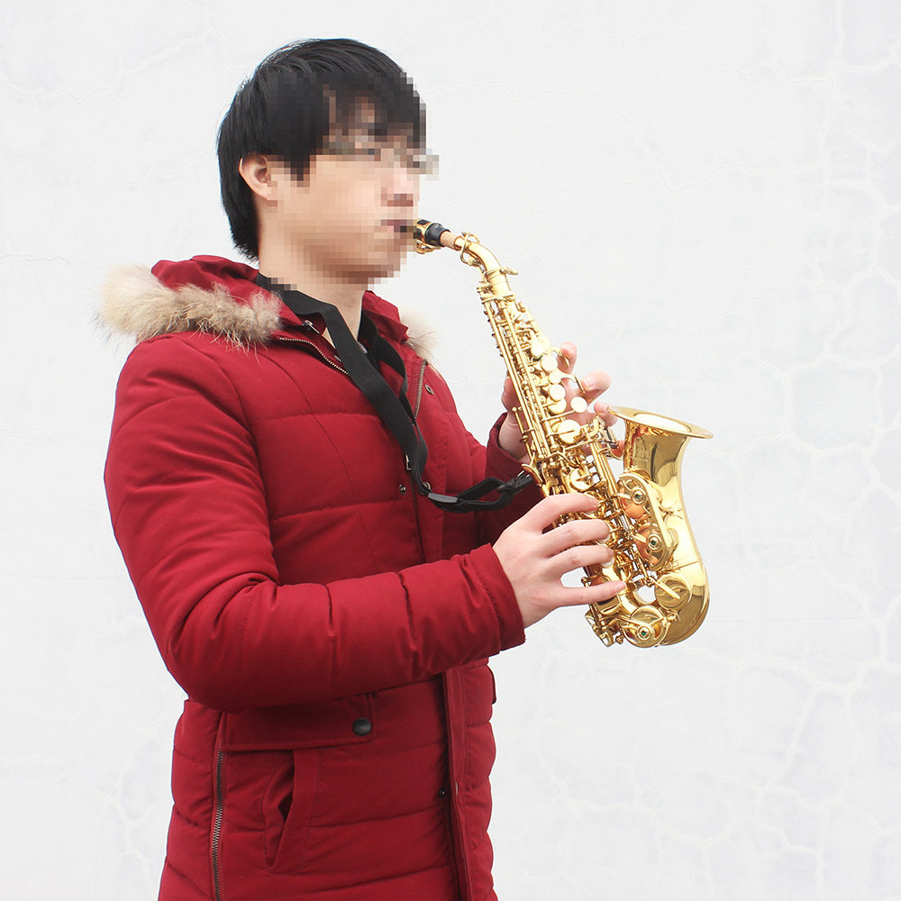 LADE弯管小高音萨克斯初学者练习