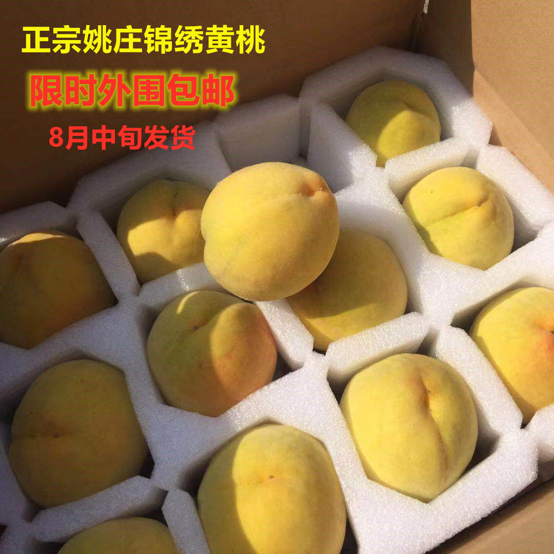 a新鲜水果正宗嘉兴姚庄锦绣黄桃子甜自家果园现摘现发送礼当季果