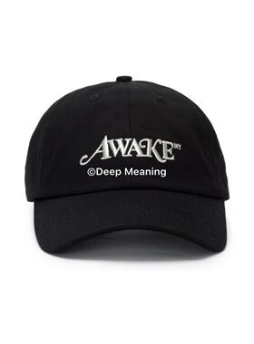 国内现货 Awake NY Metallic Logo Hat 纽约限定弯檐棒球帽