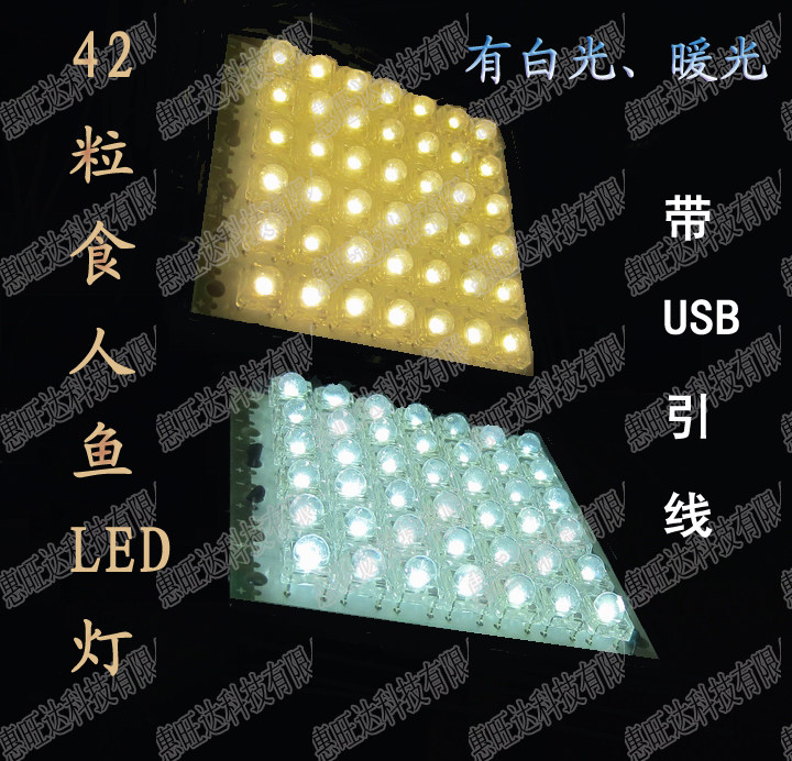 5V食人鱼LED灯板 夜市 地摊 移动电源灯 USB灯 汽车装饰