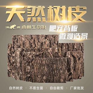 精选树皮造景装饰雨林缸水陆微景爬宠箱天然生态背景木板厂家直发
