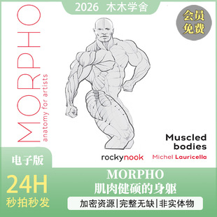 Morpho肌肉健硕的身躯  人体结构，男性壮汉肌人体肉学习参考速写