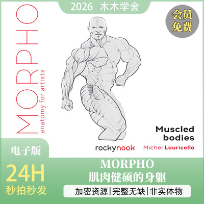 Morpho肌肉健硕的身躯  人体结构，男性壮汉肌人体肉学习参考速写