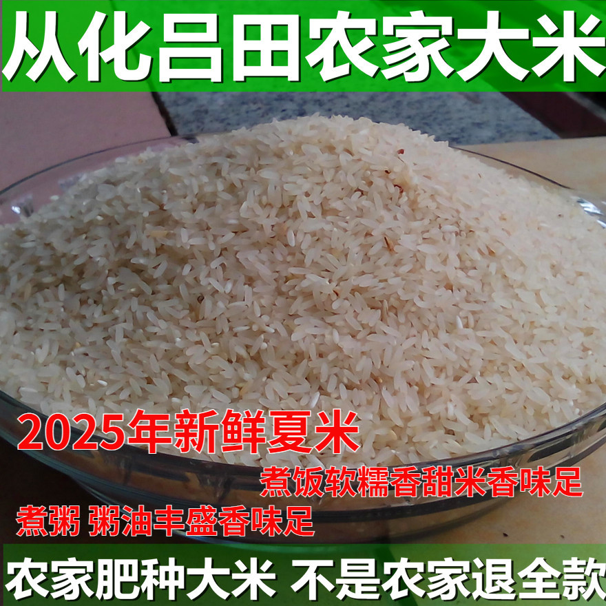 广东从化农家肥自种大米橡牙尖米无抛光自产自销2025年新米软糯香