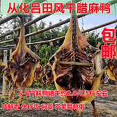 正宗从化吕田腊味新鲜青头麻鸭腌肉咸香日晒煲仔饭粥农家自制 包邮