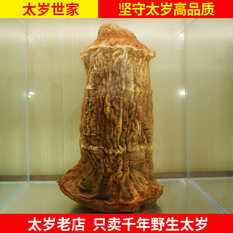 长白山野生千年整体太岁肉灵芝土太岁石太岁溶洞太岁保健养生收藏