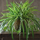 防水草编织筐吊篮壁挂小花篮花盆假花仿真花绿萝绿植盆栽装 饰吊兰