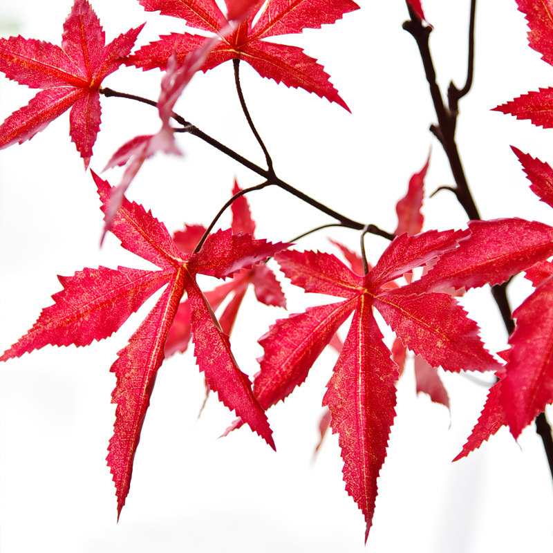 仿真绿枫叶红色单枝鸡爪槭加拿大红枫叶绿植物假树叶