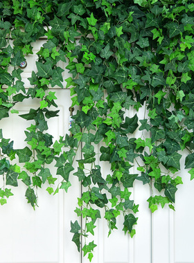 仿真爬山虎假花藤条绿植墙装饰塑料绿叶假树叶绿叶子藤蔓植物造景