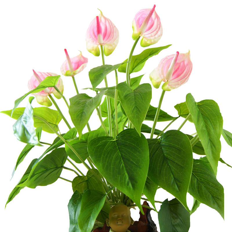 仿真花红掌高档绿植造景植物假花装饰干花盆栽摆设塑料花花艺摆件