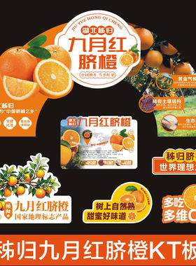 秭归九月红脐橙kt板展示牌水果店广告牌水果氛围布置装饰陈列道具