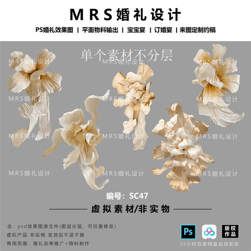 MRS大型香槟色纸花设计手绘素材SC47褶皱纸婚礼纸花道具PS素材