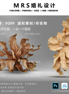 【MRS】婚礼大型复古棕色纸花设计SQ80秋色橙色纸艺道具效果图PS
