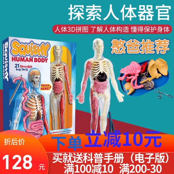 smartlab内脏拼装解刨人体器官
