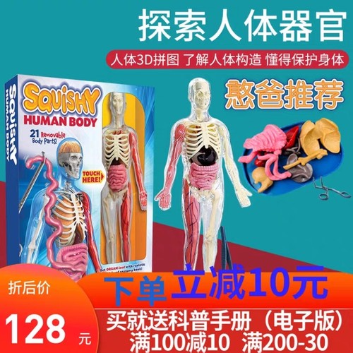 smartlab内脏拼装解刨人体器官