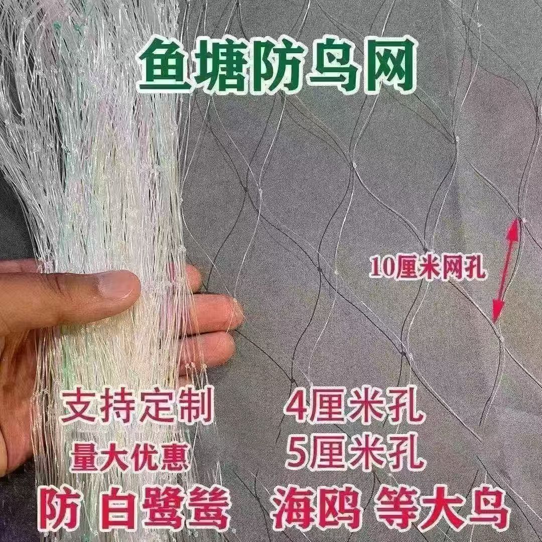 鱼塘大孔尼龙网养殖青蛙龙虾防鸟