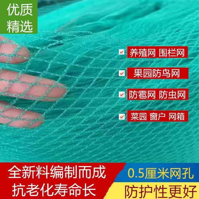 渔网抬网箱无结网果树防鸟网片冰雹网养鸡网围网养殖防逃加厚耐用