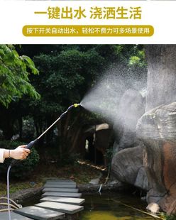 充电式 电动喷壶洗车抽水浇花洒水喷雾器园艺水****喷****消毒打药家用