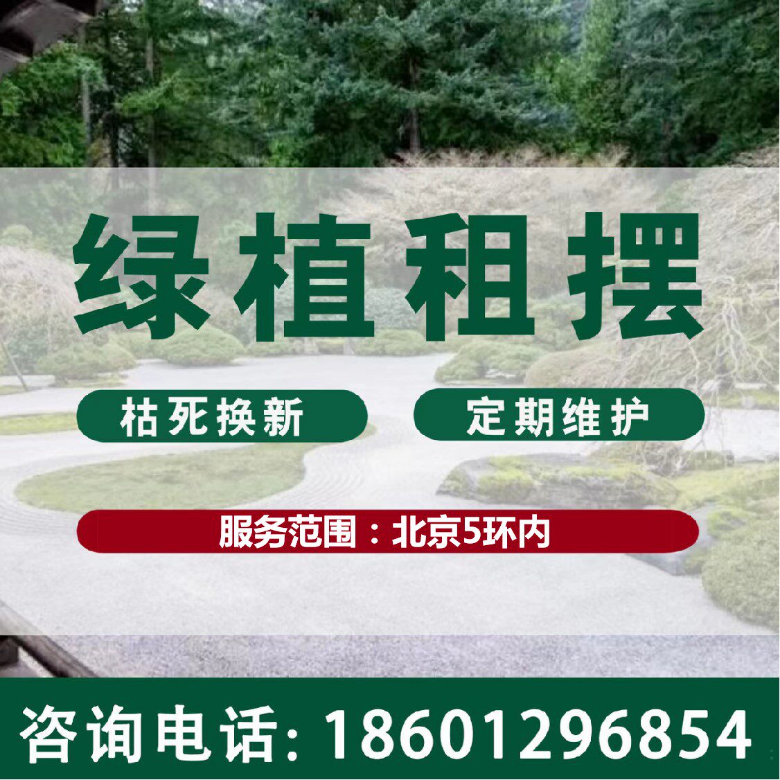 北京绿植租赁植物租摆出租会展会议短租室内办公室酒店商场