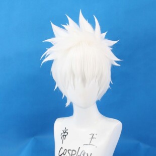 帝王动漫Cosplay造型 时光代理人 陆光 程小时 乔苓 cos假发定制