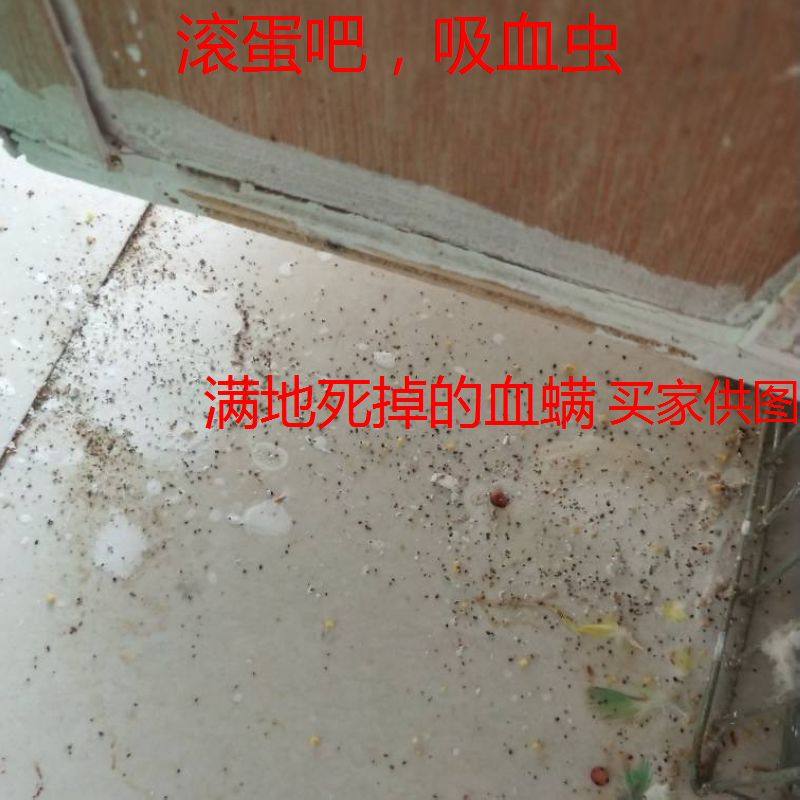 体外寄生虫喷雾 虱螨一抹净  血螨 跳蚤 红蜘蛛 吸血虫,宠物/宠物食品及用品,鸟禽其他,淘宝优惠券,粉丝福利购,淘宝优惠卷
