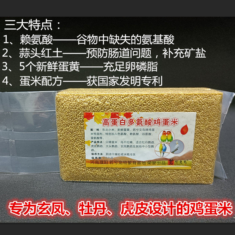活体 鹦鹉 玄凤 牡丹 虎皮鸡鸟食