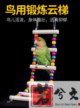 活体鸟 云梯 攀爬梯 秋千 啃咬鸟玩具 鸟笼用品站架站杠