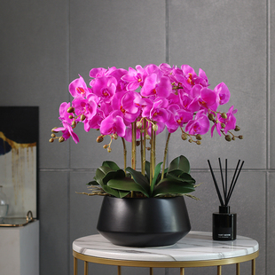 手感高品质蝴蝶兰仿真花客厅装饰花艺摆件茶几电视柜两边摆花假i.