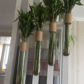 创意水培富贵竹麻绳玻璃花瓶转运竹花插器皿家居民宿墙面装 饰壁挂