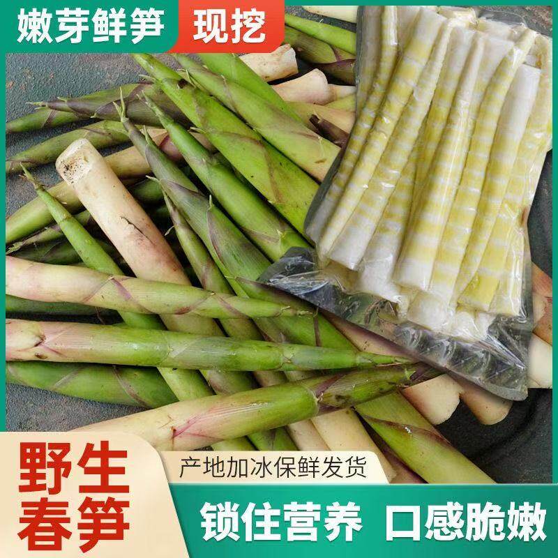 2026年新鲜竹笋湖北罗田高山现挖野生春笋嫩雷笋应季绿色农家蔬菜