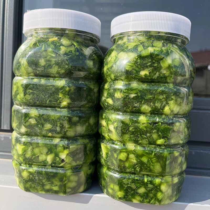 青色腌制雪里红绿色咸菜农家腌渍雪里蕻小菜无色素纯盐腌芥菜新鲜
