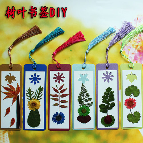 书签干花干树叶diy贴画礼品标本