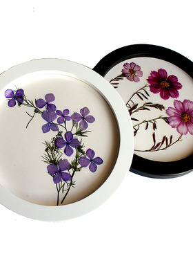 植物装饰画干花干树叶标本画家居装饰画