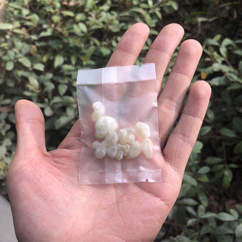 【5g装】阿曼乳香天然香薰香料