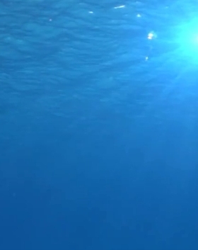 大气壮观美丽蓝色海底水下俯瞰海面阳光泛着涟漪波光实拍视频素材