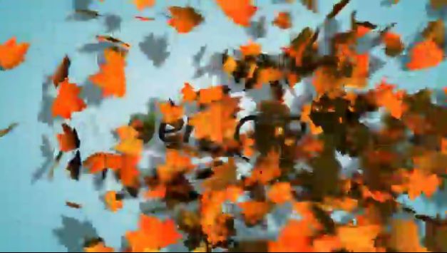 大气创意秋天枫叶满屏散去logo演绎标题展示开场AE模板