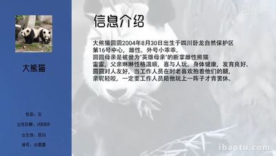 蓝色系创意个人履历阐述工作求职简历自我介绍动态文字视频ae模板