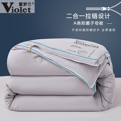 紫罗兰A类拉链双胎原色大豆被芯冬季加厚保暖子母被子学生被褥子