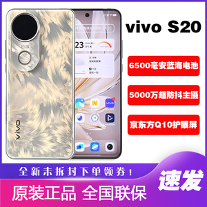 vivo S20新品拍照手机智能5G直屏vivos20京东方护眼屏轻薄S20防抖