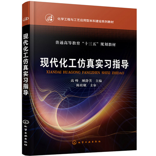 现代化工仿真实习指导 CEST单元CSTS典型化工产品生产工艺 3D虚拟现实仿真 仿真指导培训教材书 高峰 著 化工实验室原理图书籍 - 封面