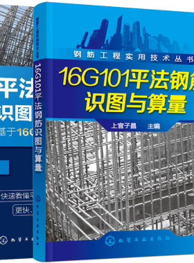 16G101平法钢筋识图与算量+平法钢筋识图方法与实例基于16G101系列平法新图集 2册 平法钢筋识图与计算实例书 钢筋翻样工程图书籍