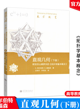 直观几何下册 附亚历山德罗夫的拓扑学基本概念 D.希尔伯特 高等教育出版社 数论应用位形空间之几何指导书 平面曲线解析几何书籍