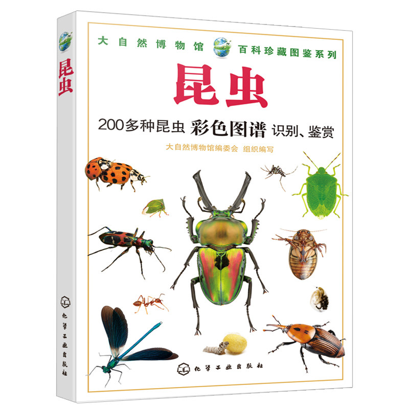 昆虫 200多种昆虫彩色图谱识别鉴赏昆虫图鉴鉴别指南 昆虫纲蛛形纲